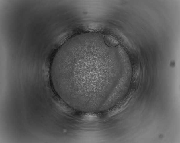 X0000102460749200808221619