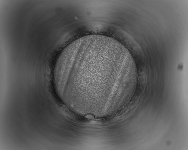 X0000102460750200808221619