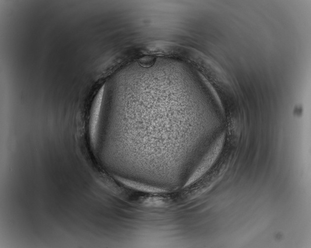 X0000102460751200808221619