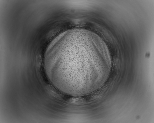 X0000102460752200808221619