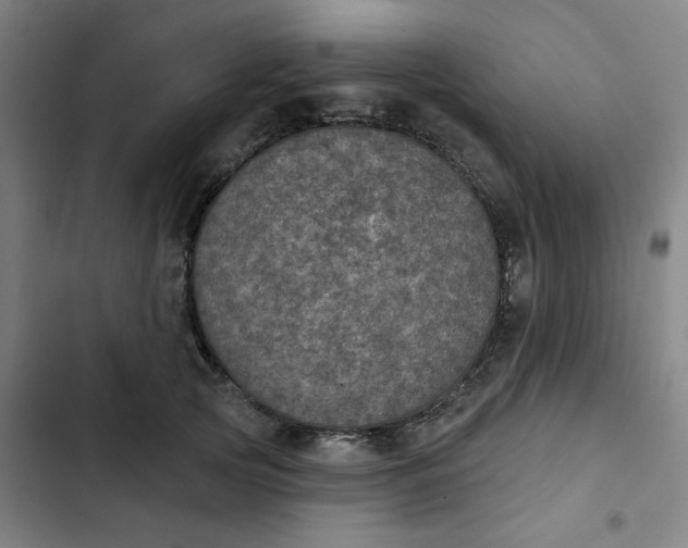 X0000102460753200808221619