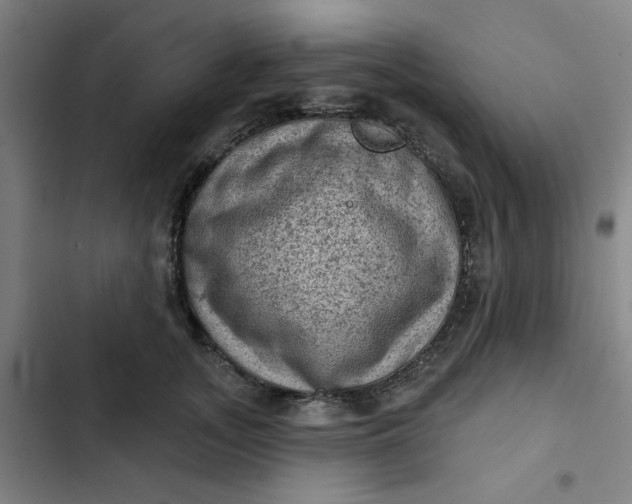 X0000102460755200808221619