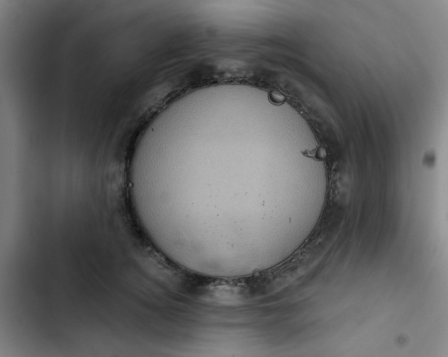 X0000102460756200808221619