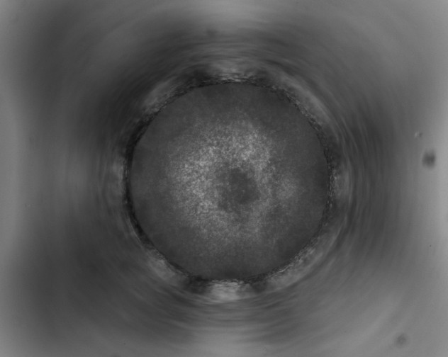 X0000102460757200808221619