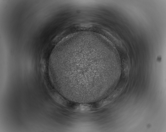 X0000102460758200808221619