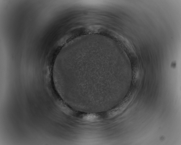 X0000102460759200808221619