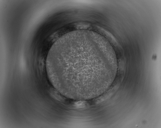 X0000102460761200808221619