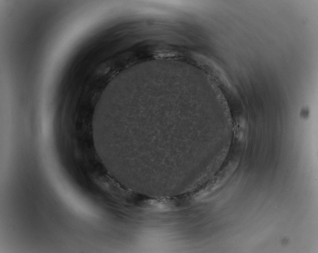 X0000102460763200808221619