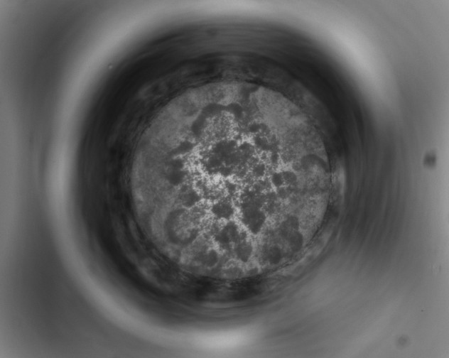 X0000102460765200808221619