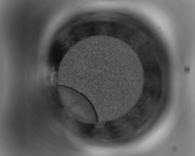 X0000102460766200808221619