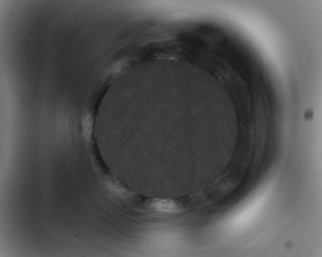 X0000102460767200808221619