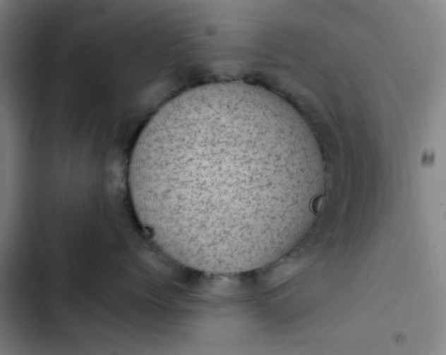 X0000102460768200808221619