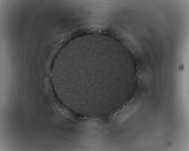 X0000102460769200808221618