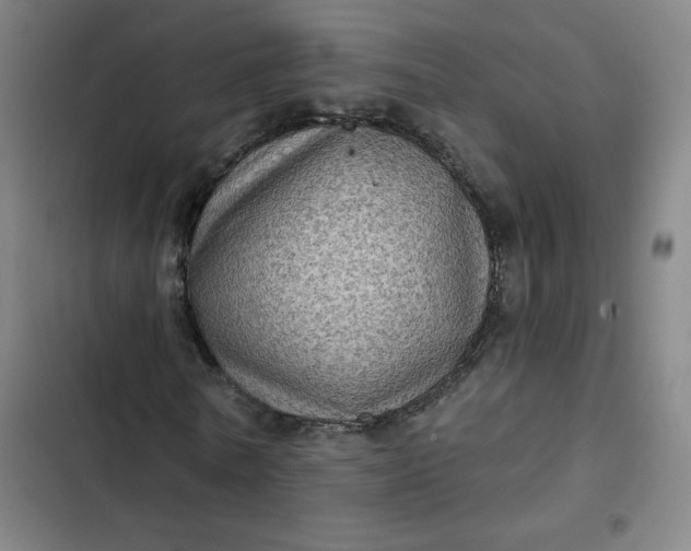 X0000102460770200808221618