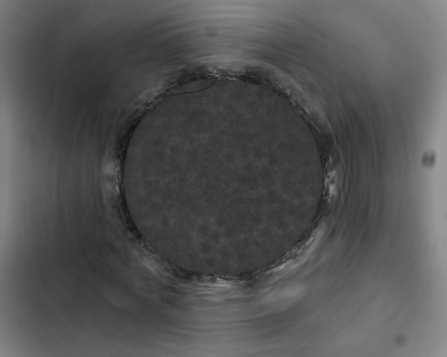 X0000102460772200808221618