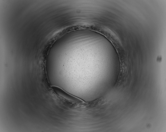 X0000102460773200808221618