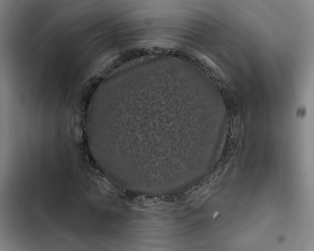 X0000102460774200808221618