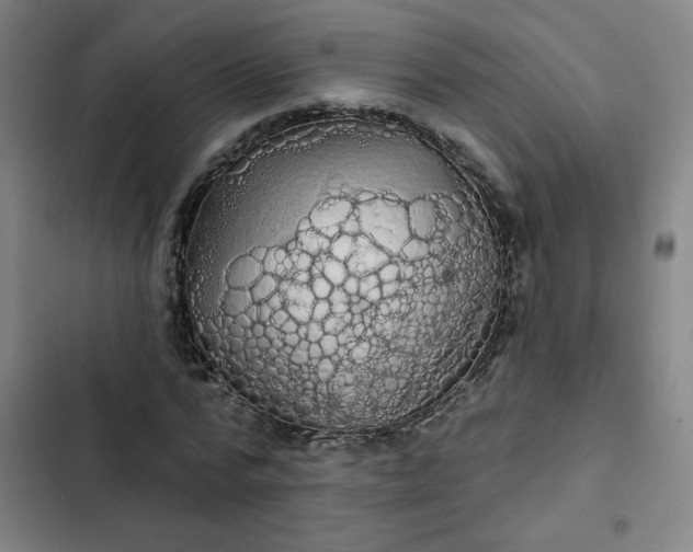 X0000102460776200808221618