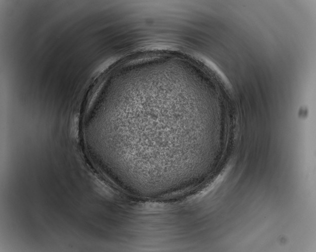 X0000102460777200808221618