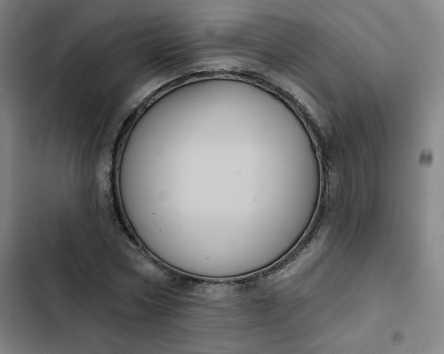 X0000102460778200808221618