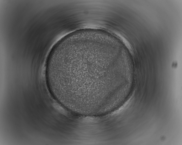 X0000102460779200808221618