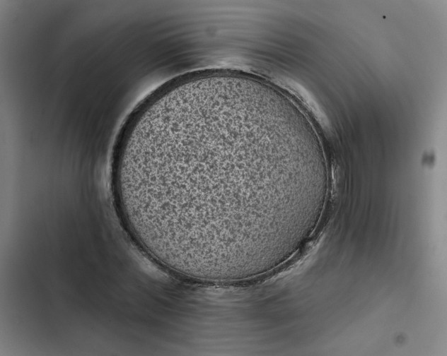 X0000102460780200808221618