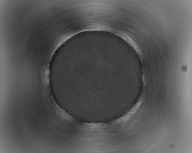 X0000102460781200808221618