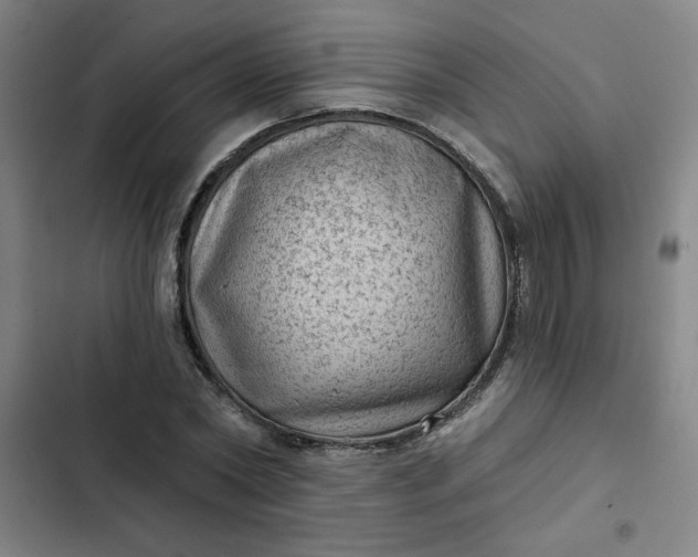 X0000102460782200808221618