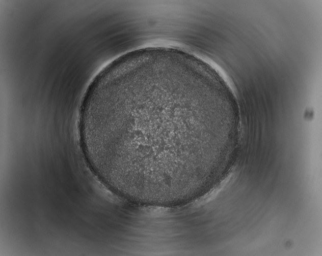 X0000102460783200808221618