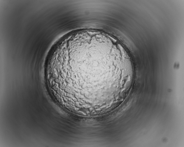 X0000102460784200808221618