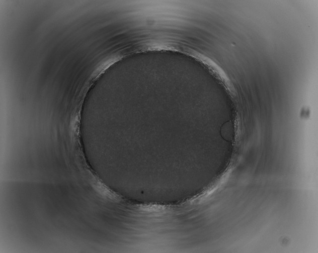 X0000102460785200808221618