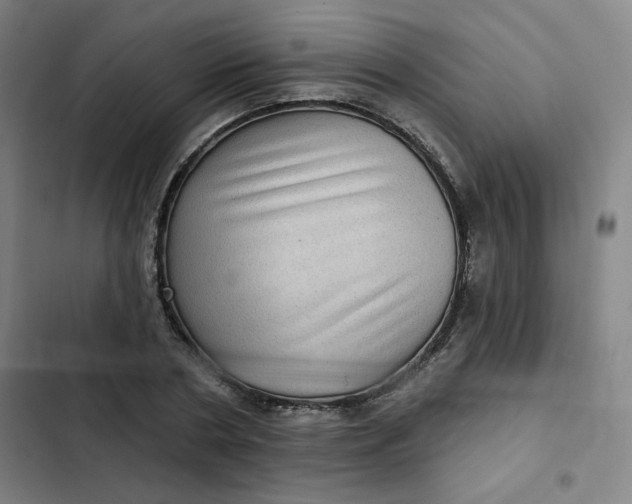 X0000102460786200808221618