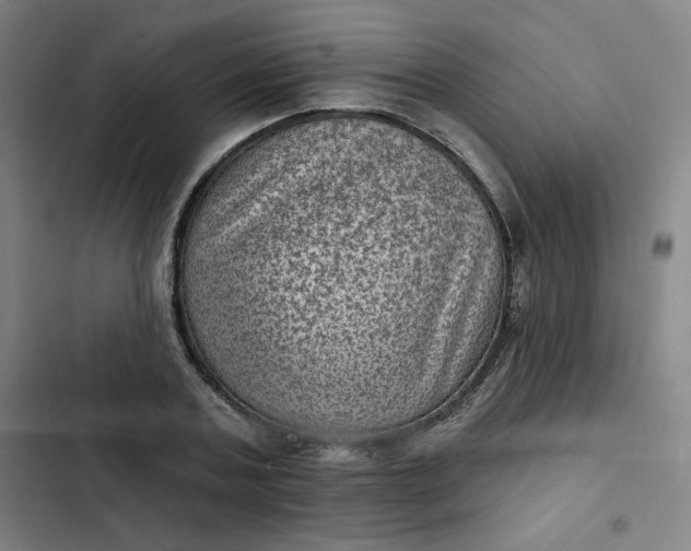 X0000102460787200808221618