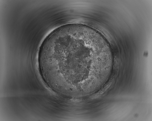 X0000102460788200808221618