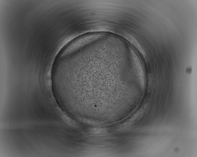 X0000102460789200808221618