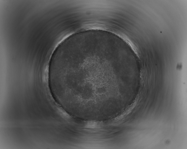 X0000102460790200808221618