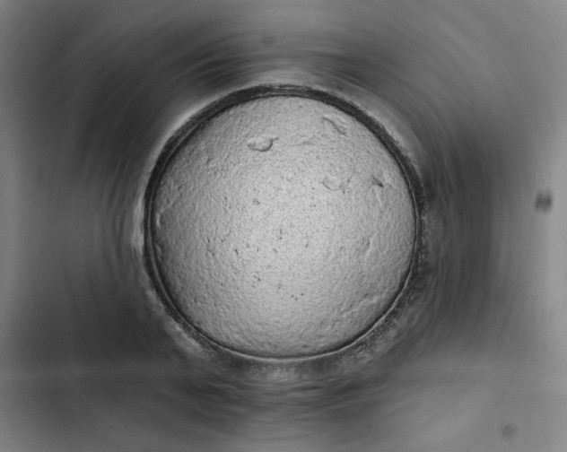 X0000102460791200808221618