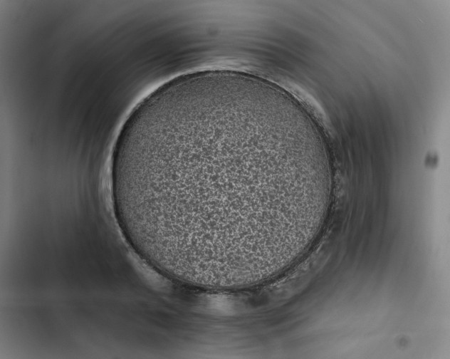 X0000102460792200808221618