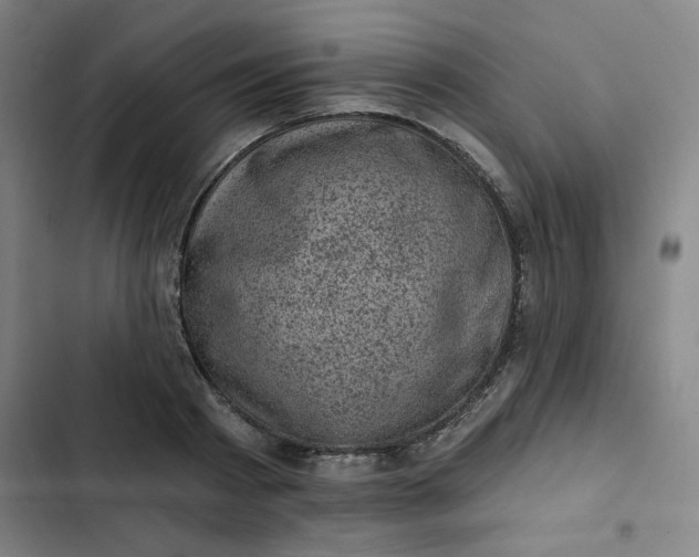 X0000102460793200808221618