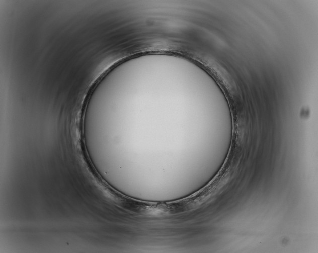 X0000102460794200808221618