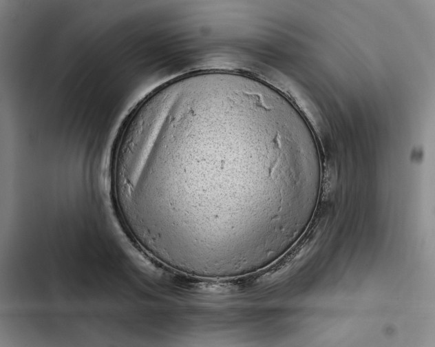 X0000102460795200808221618