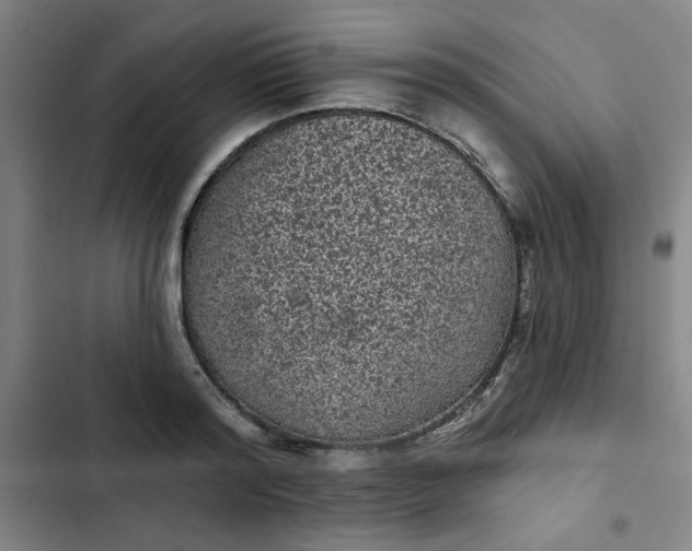 X0000102460796200808221618