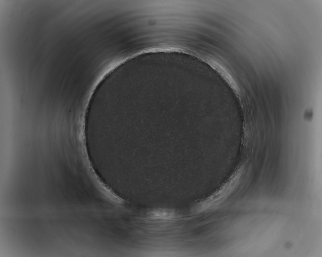 X0000102460797200808221618