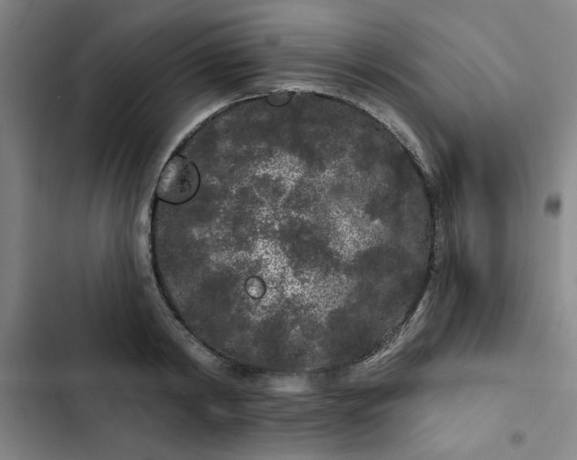 X0000102460798200808221618