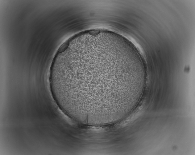 X0000102460799200808221618