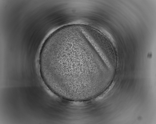 X0000102460800200808221618