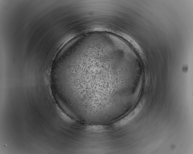 X0000102460801200808221618