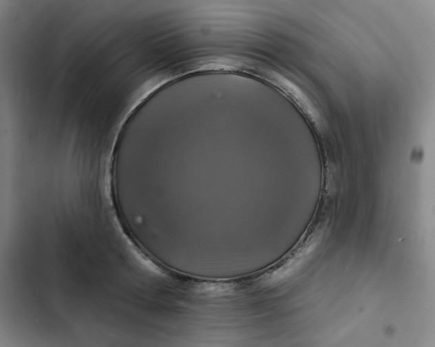 X0000102460802200808221618