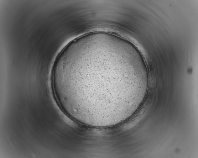 X0000102460803200808221618