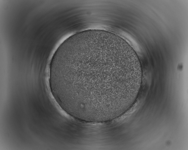 X0000102460804200808221618